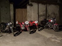Festa_2011